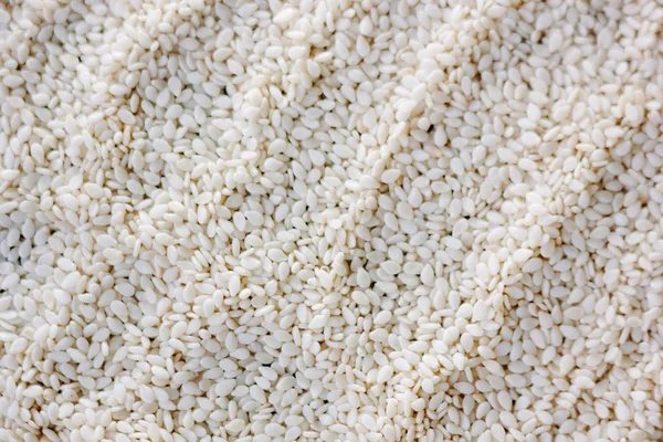 Sezamové semínka textura — Stock fotografie