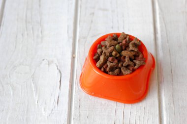 Evcil hayvan gıda kedi kupa. Turuncu kase kuru yem.
