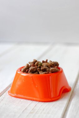 Evcil hayvan gıda kedi kupa. Turuncu kase kuru yem.