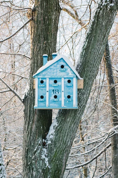 Scatola di nidificazione su albero coperto di neve sul freddo parco invernale . — Foto Stock