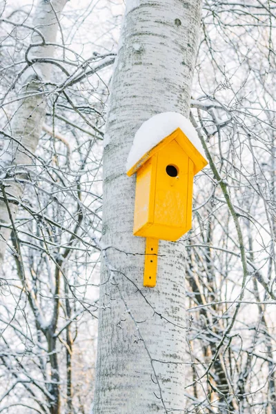 Caixa de nidificação na árvore coberta por neve no parque de inverno frio . — Fotografia de Stock