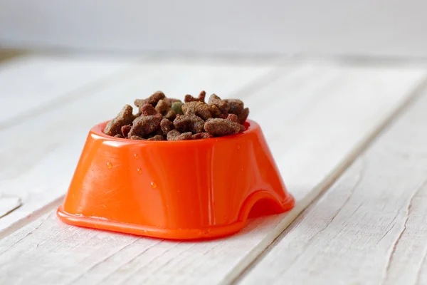 Корм для домашних животных на кошачьей миске. Сухой корм на апельсине . — стоковое фото