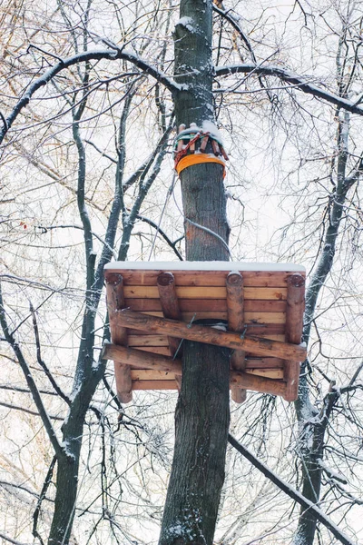 Tablero de madera en el árbol en el parque de invierno . — Foto de Stock