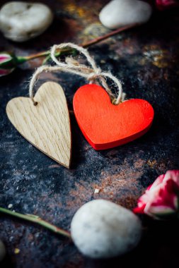 İki sınırlanmış kalp