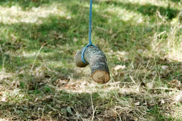 秋や春の公園で原始的なスイング. — ストック写真