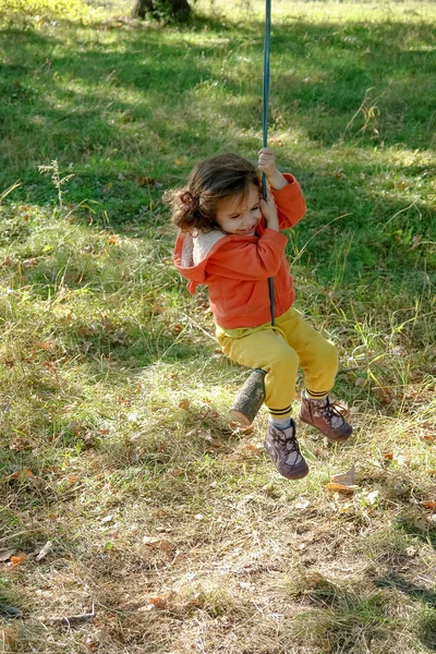 Malé dítě dívka na primitivní ruce udělal houpačka na podzim parku. — Stock fotografie