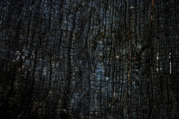 Black burnt wooden surface background. Dark ash and cinder surface. — Stock Photo, Image