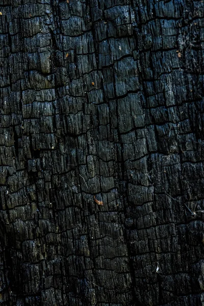 Black burnt wooden surface background. Dark ash and cinder surface. — Stock Photo, Image