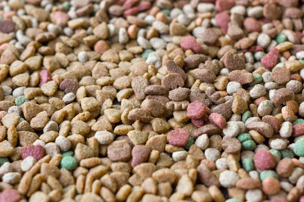 Fondo seco de alimentos para mascotas. — Foto de Stock