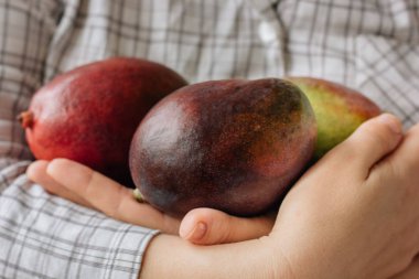 Elinde üç olgun mango tutan bir kadın..
