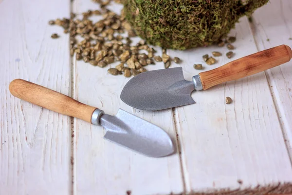 Equipo de plantación de la casa - pala pequeña una olla con la planta — Foto de Stock