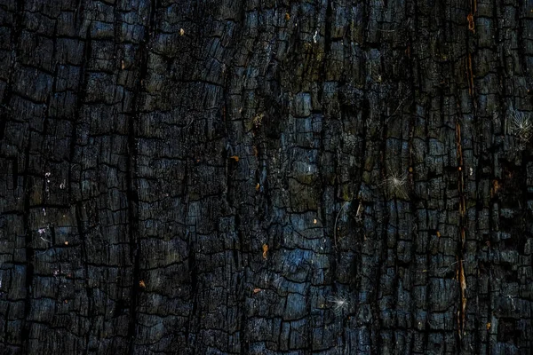 Fondo de superficie de madera quemada negra. Ceniza oscura y superficie de ceniza . — Foto de Stock