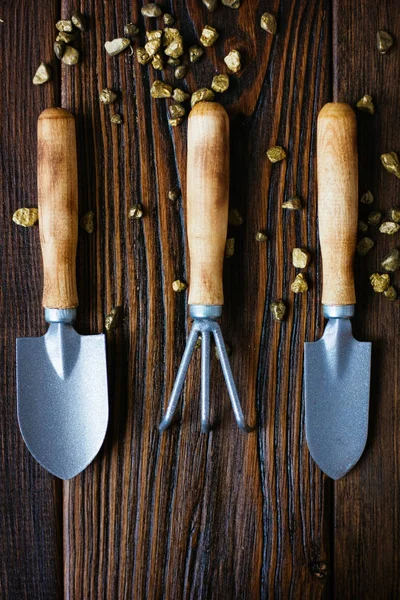 Оборудование для домашнего садоводства - лопаты и грабители на столе . — стоковое фото