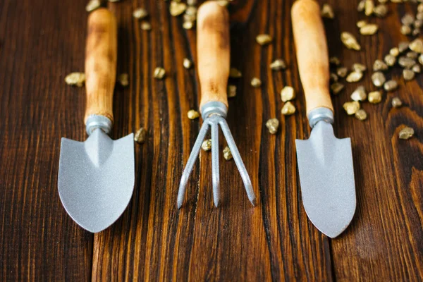 Equipamento para jardinagem em casa - pás e ancinho na mesa . — Fotografia de Stock