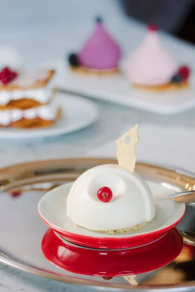 Belle et délicieuse panna cotta sur plaque rouge . — Photo