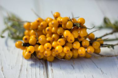 Deniz cehri çilek Beyaz ahşap tablo.