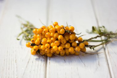 Deniz cehri çilek Beyaz ahşap tablo.