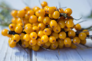 Deniz cehri çilek Beyaz ahşap tablo.