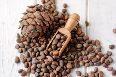 Sedir fındık yığını üzerinde ahşap Kepçe hayalarına sedir.