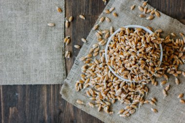 Beyaz bir seramik kasede filizlenen buğday kumaş parçasının üzerinde duruyor..