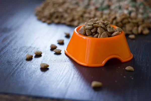 Comida seca para gatos o perros en un tazón naranja. — Foto de Stock