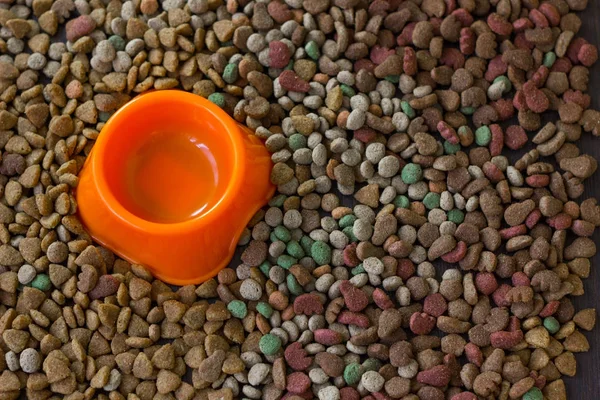 Cuenco de plástico vacío rodeado de comida seca para mascotas. —  Fotos de Stock