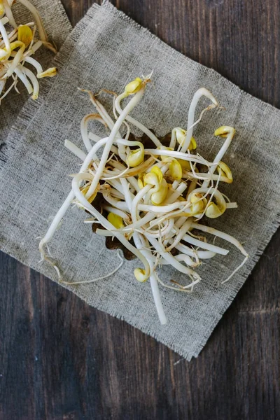 Soybean sprouts. Table with soy bean sprouts on it.