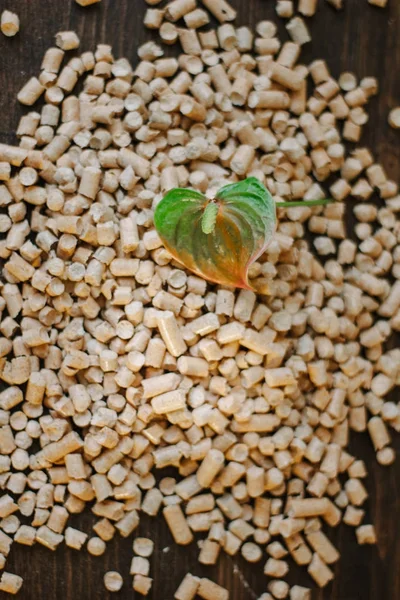 Flor fresca y pellets de madera sobre fondo marrón —  Fotos de Stock