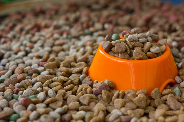 Bol en plastique orange rempli de nourriture sèche pour animaux entourée de nourriture sèche pour chats et chiens. — Photo