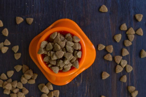 Vista superior de comida seca para mascotas en un tazón. — Foto de Stock