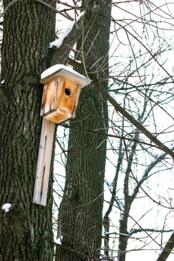 Kuş evini veya iç içe geçme kutusu bir kış parkta ağaç üzerinde