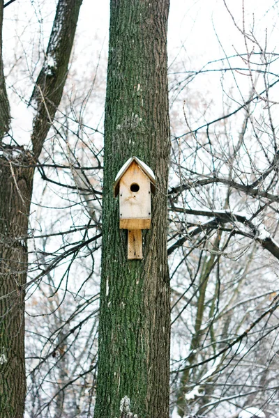 Vogelhaus Oder Nistkasten Auf Baum Winterpark — Stockfoto