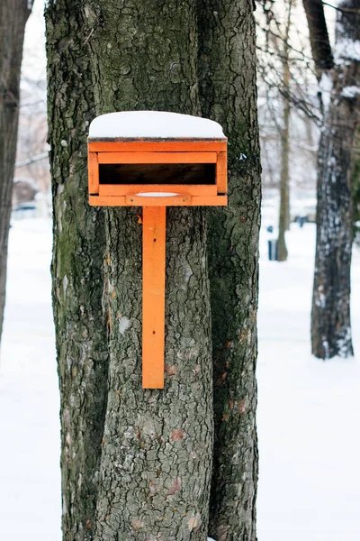 Птичий Домик Гнездовой Ящик Дереве Зимнем Парке — стоковое фото
