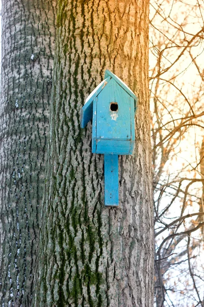 Casa Pájaros Caja Anidación Árbol Parque Invierno — Foto de Stock