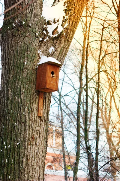 Birdhouse Nidificazione Albero Parco Invernale — Foto Stock
