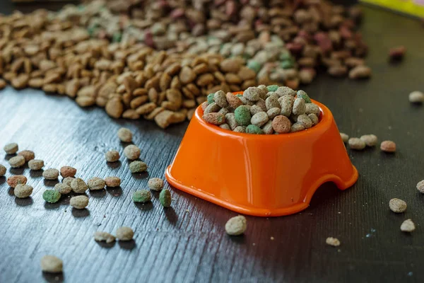 Comida Para Mascotas Tazón Para Gato Perro — Foto de Stock