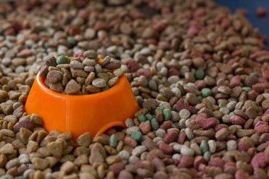 Orange plastic bowl filled with dry pet food surrounded by dry food for cat and dogs clipart