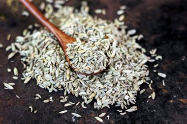 Bir tahta kaşık rezene tohum. Paslı siyah arka plan baharat