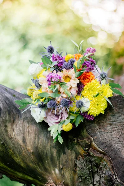 Buquê Casamento Árvore Madeira Verão Verde — Fotografia de Stock