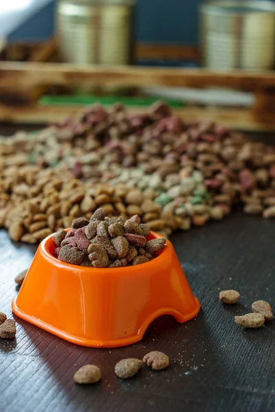Pet food in bowl for cat and dog