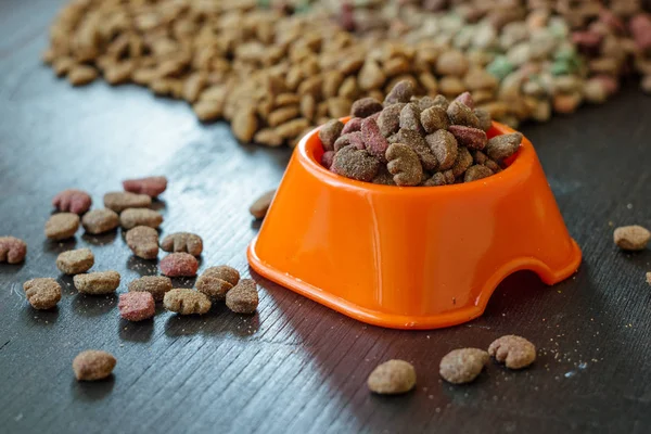 Comida Para Mascotas Tazón Para Gato Perro — Foto de Stock