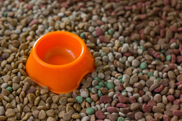 Leere Plastikschüssel Umgeben Von Trockenem Tierfutter — Stockfoto