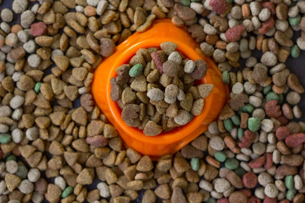 Pomerančová Plastová Miska Naplněná Suchým Krmivem Pro Domácí Zvířata Obklopená — Stock fotografie