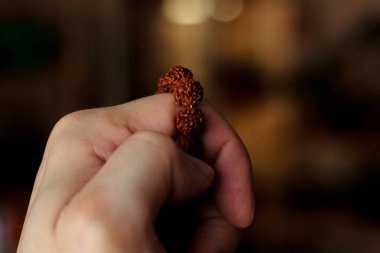 El rudraksha boncuklar veya tespih tutan dua