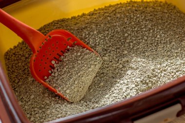 Kedi işçisi - kırmızı plastik kepçeli bir kutuda çöp.