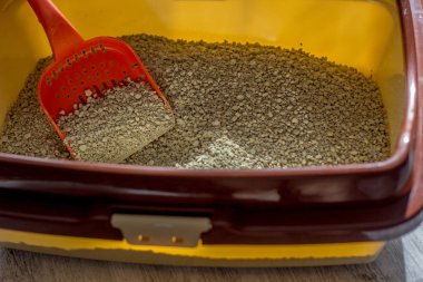 Kırmızı plastik kepçe ile bir kutu içinde kedi çöp