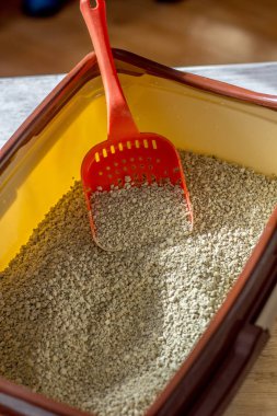 Kedi kumu dolu kırmızı plastik kepçe..