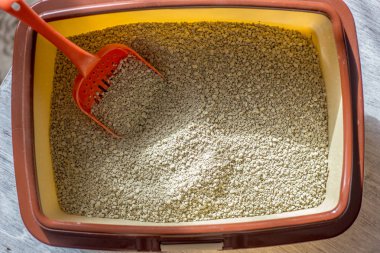 Kedi kumu dolu kırmızı plastik kepçe..