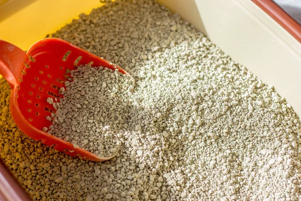 Red plastic scoop with the litter on a cat litter box.