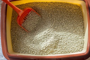 Kedi kumu dolu kırmızı plastik kepçe..